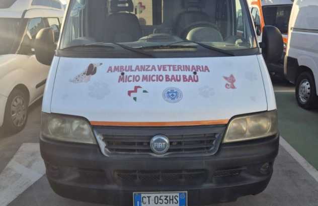 Fiat ducato ambulanza (3893) vp 2005