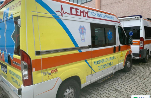 Fiat fiat ducato ambulanza (term1) 2012