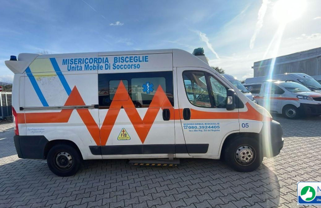 Fiat ducato ambulanza (angroad) vp 2010