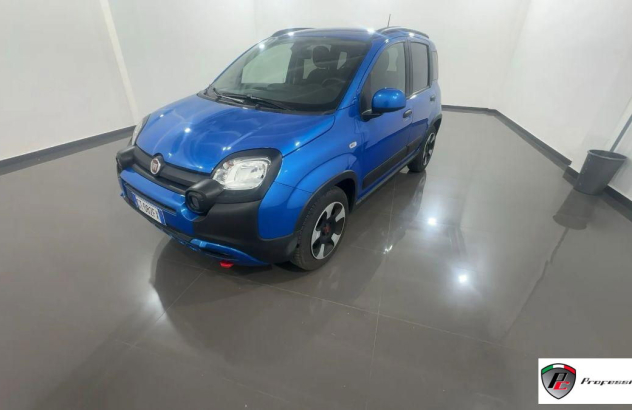 FIAT Panda  Elettrica-Benzina 2024