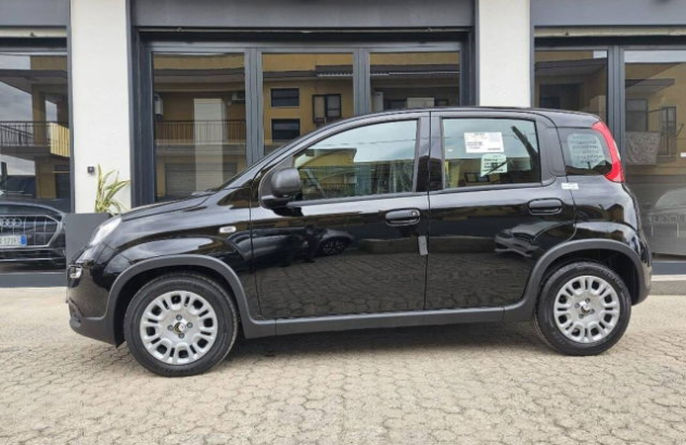 FIAT Panda  Elettrica-Benzina 2024