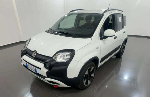 FIAT Panda  Elettrica-Benzina 2024