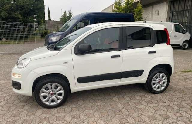 FIAT Panda  Benzina 2019