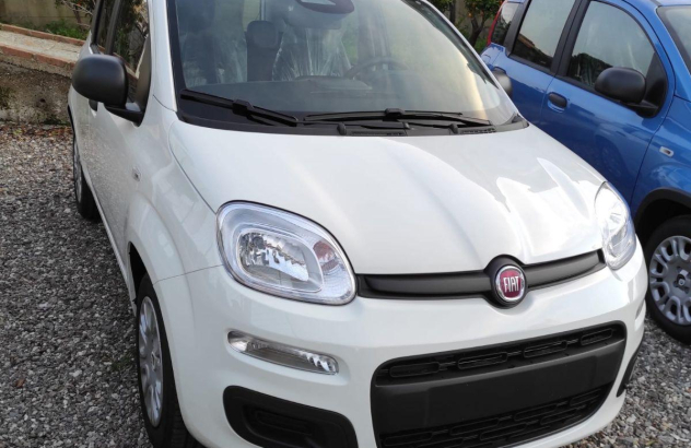FIAT Panda 1.0 FireFly SeS Hybrid Pandina Elettrica-Benzina 1999
