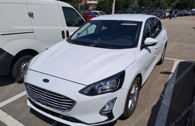 FORD Focus 1.5 EcoBlue 95CV 5p. Business Diesel 2021
