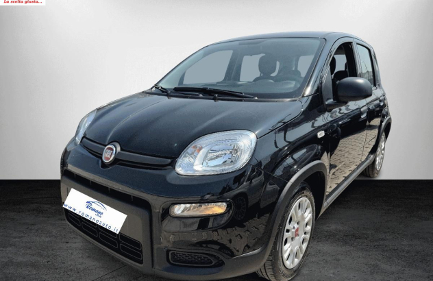FIAT Panda  Elettrica-Benzina 2023