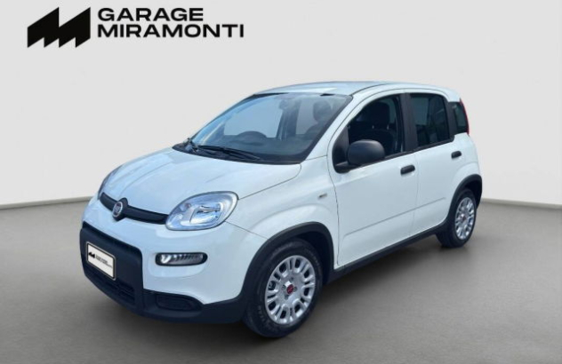 FIAT Panda  Elettrica-Benzina 2024