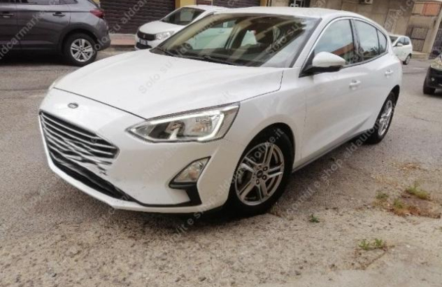FORD Focus 1.5 EcoBlue 120CV 5p. Business Diesel 2019
