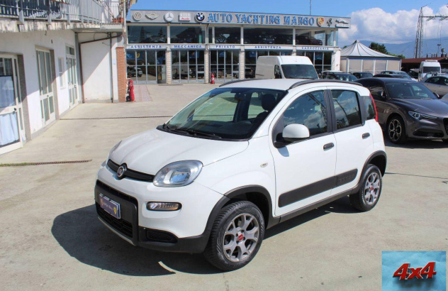 FIAT Panda Cross 0.9 TwinAir Turbo SeS 4x4 Benzina 2020