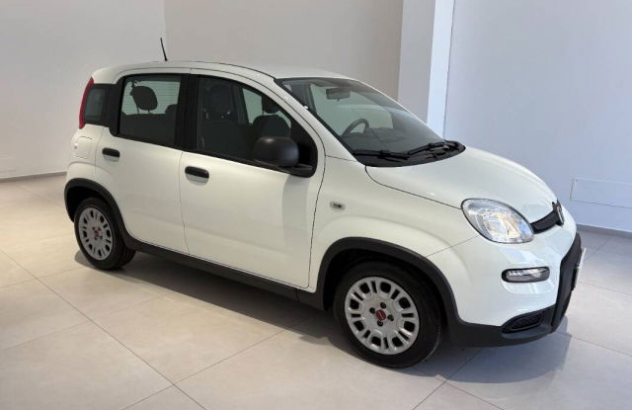 FIAT Panda  Elettrica-Benzina 2023
