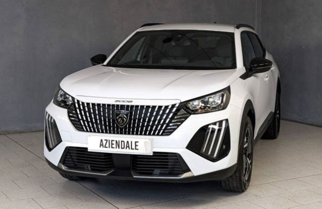PEUGEOT 2008  Benzina 2024