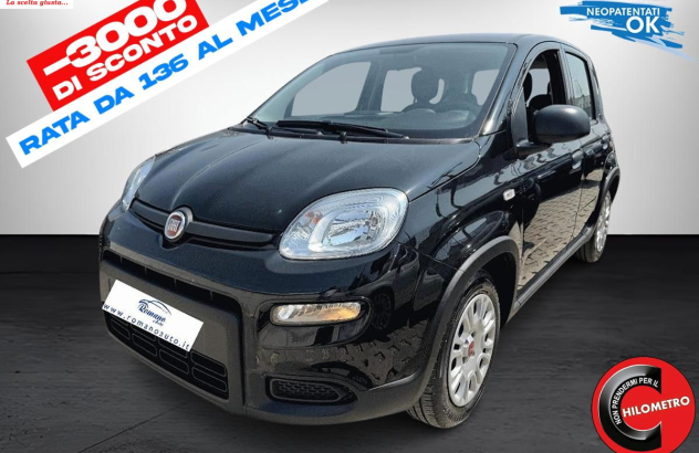 FIAT Panda  Elettrica-Benzina 2023