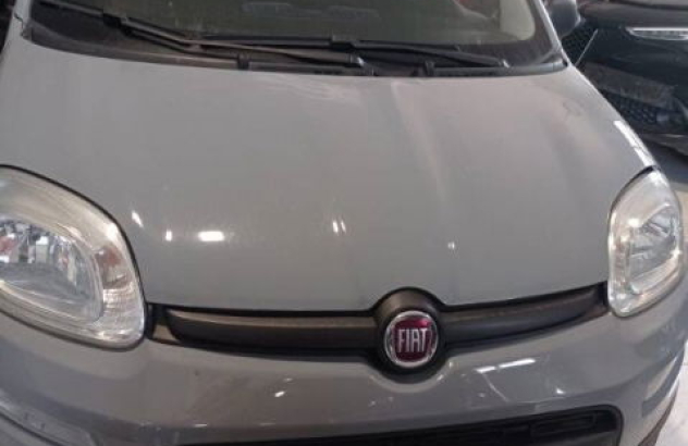 FIAT Panda  Benzina 2020