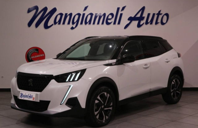PEUGEOT 2008  Benzina 2022