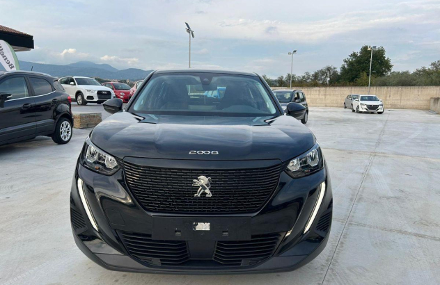 PEUGEOT 2008 2008 PureTech 100 SeS Active Pack Benzina 2020