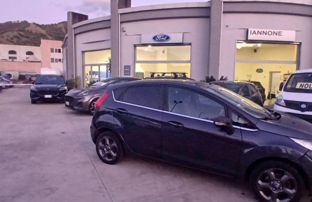 FORD Fiesta Plus 1.4 16V 5p. Bz. GPL Benzina 2009