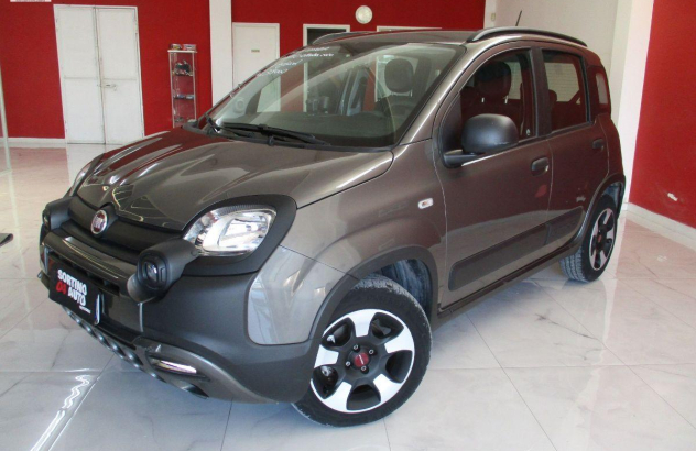 FIAT Panda 1.0 FireFly SeS Hybrid City Cross Elettrica-Benzina 2020