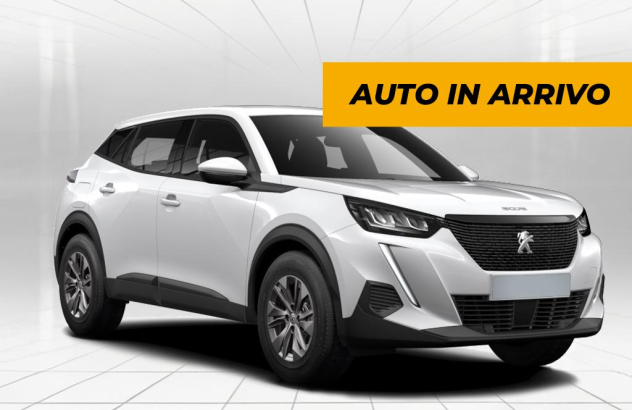 PEUGEOT 2008 BlueHDi 100 SeS Active Diesel 2020