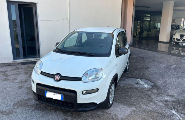 FIAT Panda 1.0 FireFly SeS Hybrid City Life Elettrica-Benzina 2023