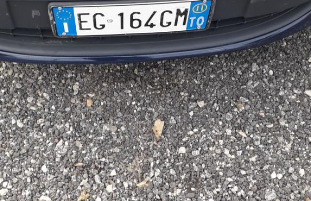 FORD Fiesta 1.4 TDCi 70CV 5p. cDPF Titanium Diesel 2011