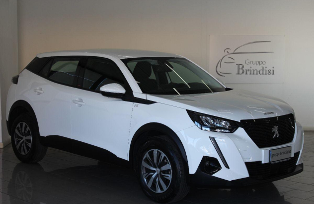 PEUGEOT 2008 BlueHDi 100 SeS Active Diesel 2019