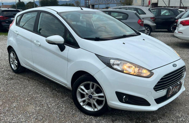 FORD Fiesta 1.2 60CV 5p. Business Benzina 2015