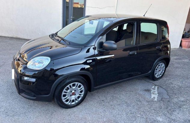 FIAT Panda 1.0 FireFly SeS Hybrid City Life Elettrica-Benzina 2024