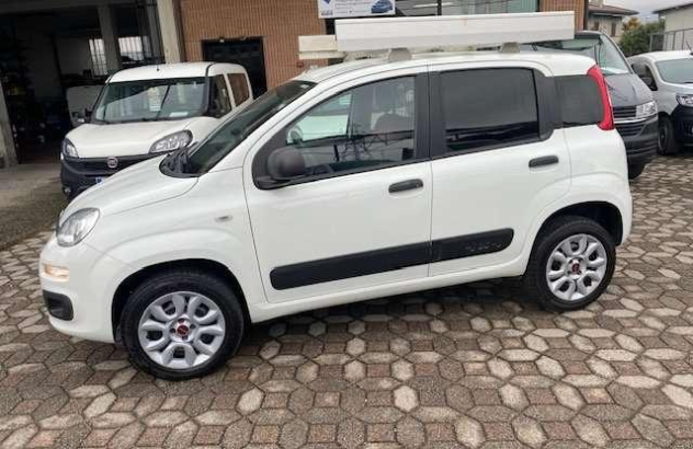FIAT Panda  Benzina 2019
