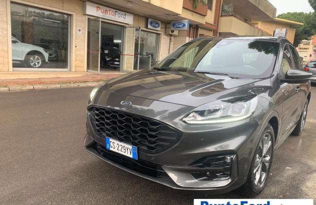 FORD Kuga 2.0 TDCI 120 CV SeS 2WD ST-Line Diesel 2024