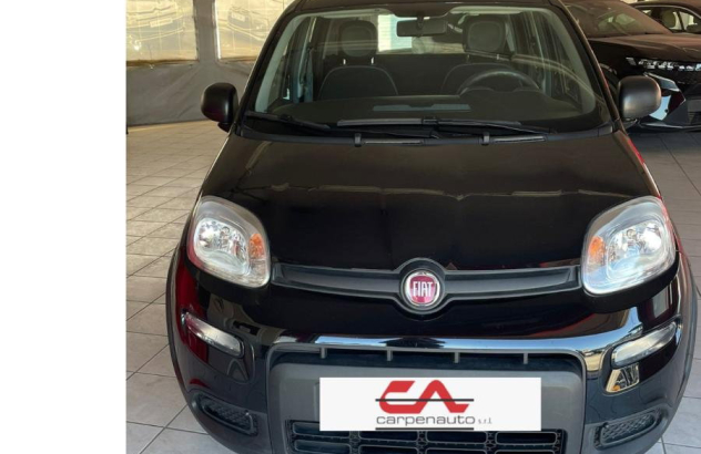 FIAT Panda  Elettrica-Benzina 2024