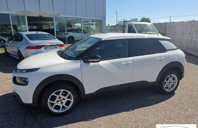 CITROEN C4 Cactus BlueHDi 100 SeS Shine  2019