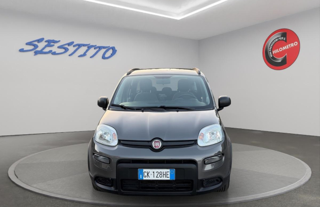 FIAT Panda  Elettrica-Benzina 2022
