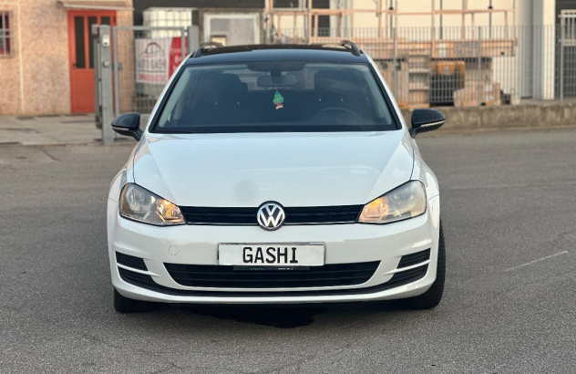 VOLKSWAGEN Golf Variant 1.6 TDI 110 CV Business BMT Diesel 1999