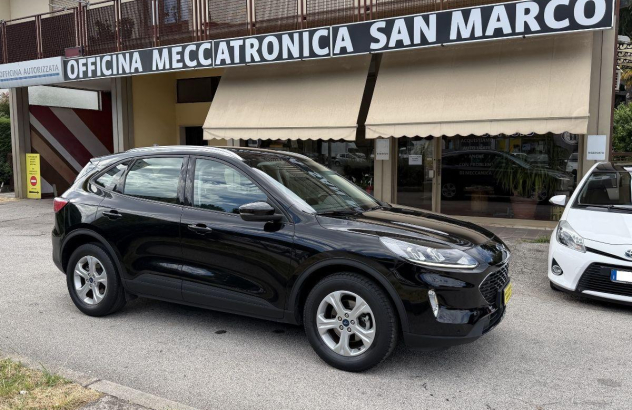 FORD Kuga 1.5 TDCI 120 CV SeS 2WD Titan. Bus. Diesel 2020