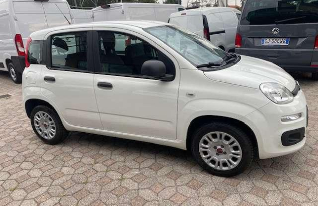 FIAT Panda  Benzina 2020