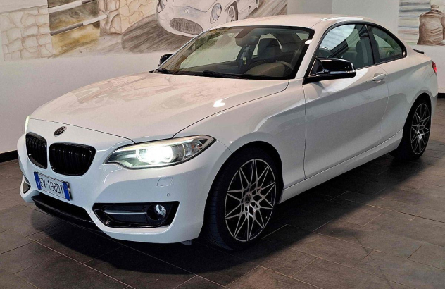 BMW Serie 2 Coupè 220d Sport Diesel 2014