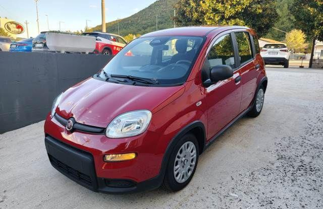 FIAT Panda  Elettrica-Benzina 2024