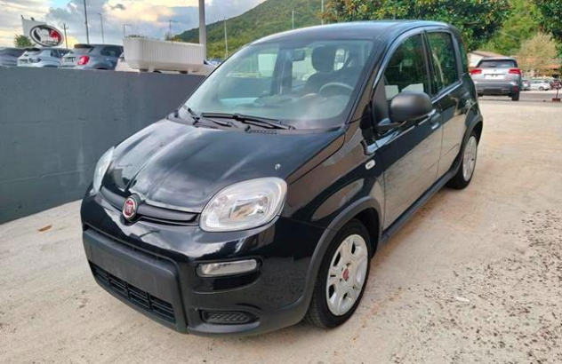 FIAT Panda 1.0 FireFly SeS Hybrid Elettrica-Benzina 2023