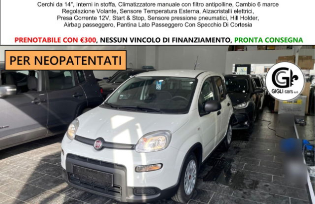 FIAT Panda  Elettrica-Benzina 2025