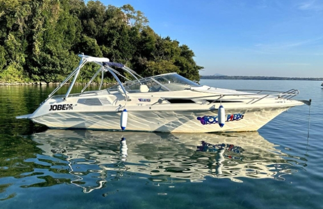 Barca a motore Windy draco 2500 crystal 1991